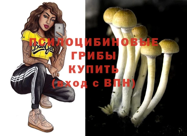хмурый Балабаново