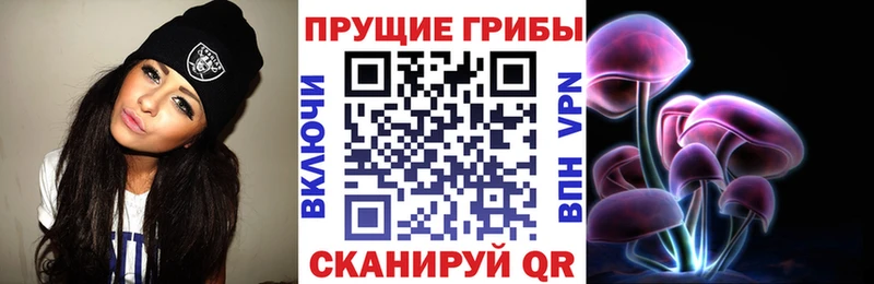 Псилоцибиновые грибы Psilocybine cubensis  купить наркотик  Куса 